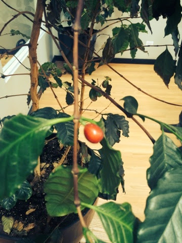 blogger-image--1351398937